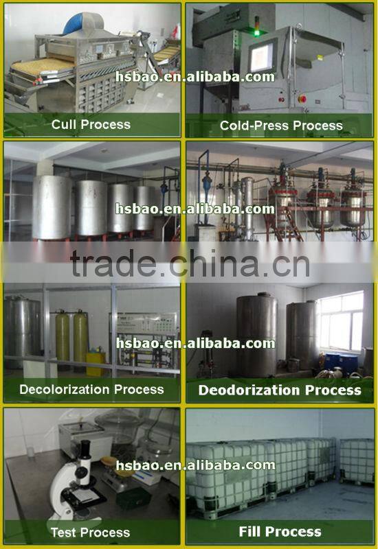 Evening Primrose Oil