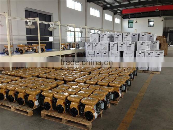 EY20/Robin type engine/gasoline engine