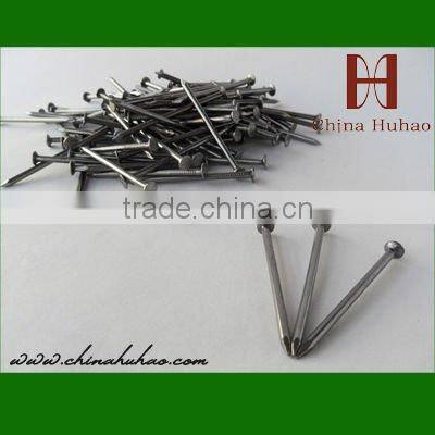 Smooth Shank Common Nails Manufacturer in China