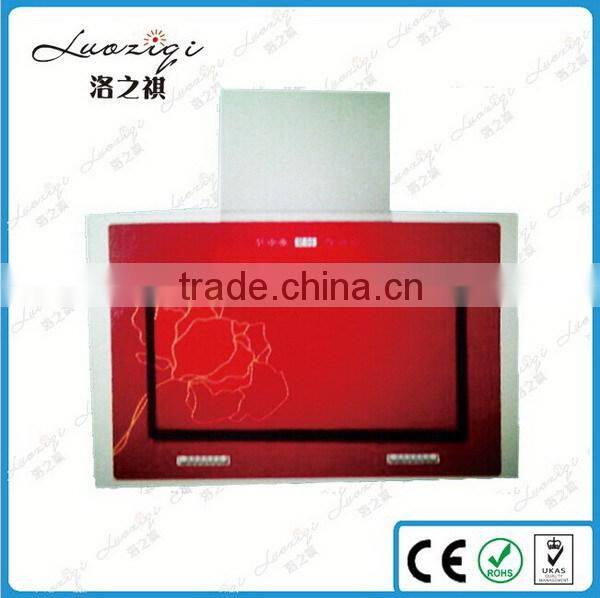 Factory unique hot sale side range hood