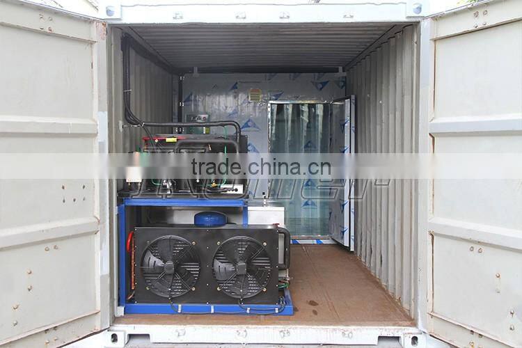 5 Tons Block Ice Making Plant Built in Container