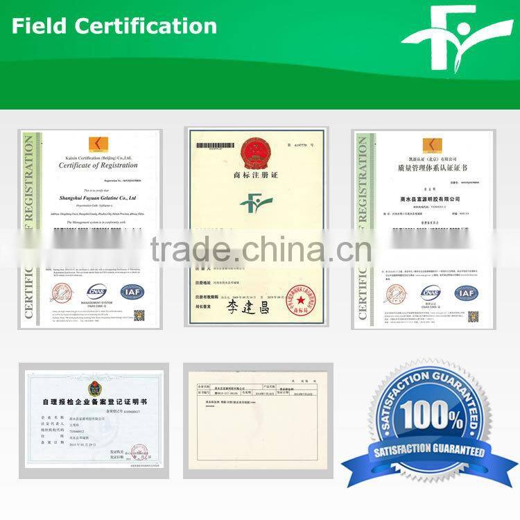 2016 New Industrial Gelatin For Fiber and Garment industry