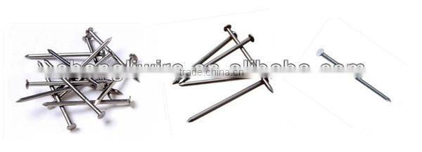 common iron nail (factory)
