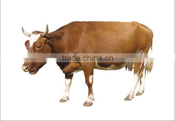 vacuum pump type milk sucking machine with two buckets