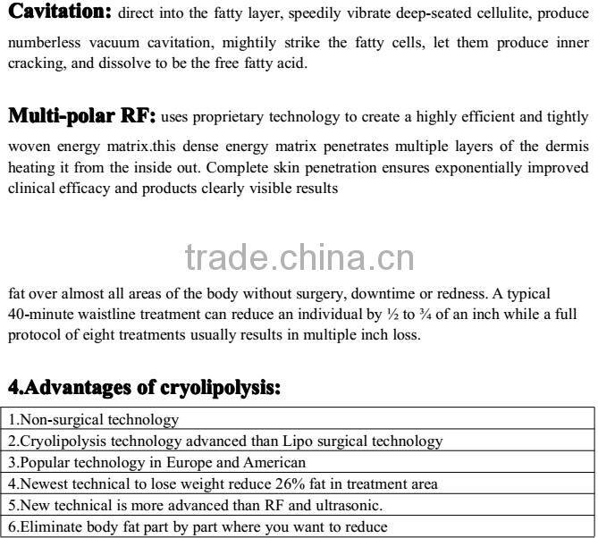 Best products cryolipolysis cool shape machine/portable cryolipolysis machine beco