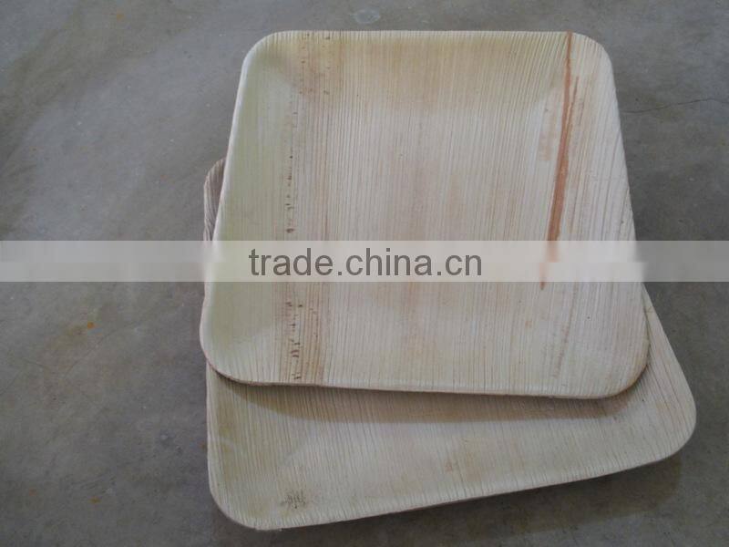 High Quality of New Square Shape Areca Plate Supplier in Malaysia / Singapore / Thailand