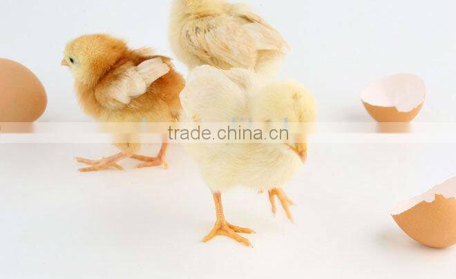 Egg hatching machine