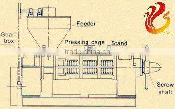 Rice bran,walnut kernel,Tea seeds,corn embryo hot and cold screw oil press machine,oil extracting machine/oil extractor