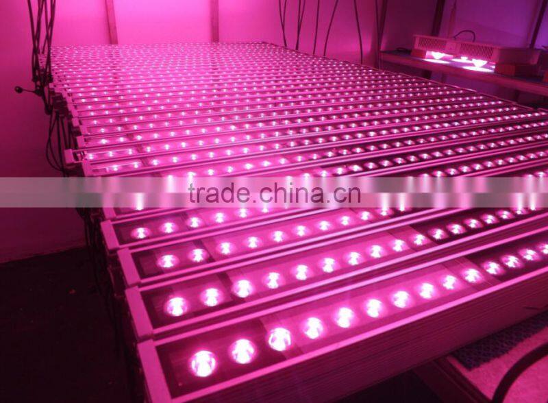 Waterproof IP65 36w cheap grow lights for indoor plants