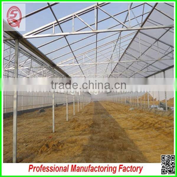 Hot sale 12m multi-span glass greenhouse grow tent for vegetables