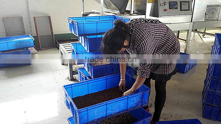 Cat Food 2.5--2.8 cm Freeze Dried Mealworms;Yongzheng Dried Mealworms For Cat