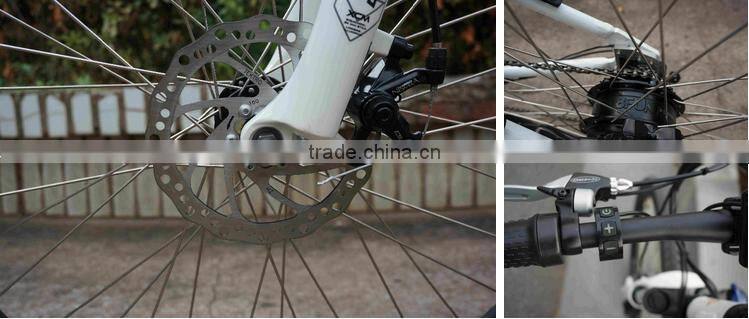 26'' City electric bike japanese electric bicycle