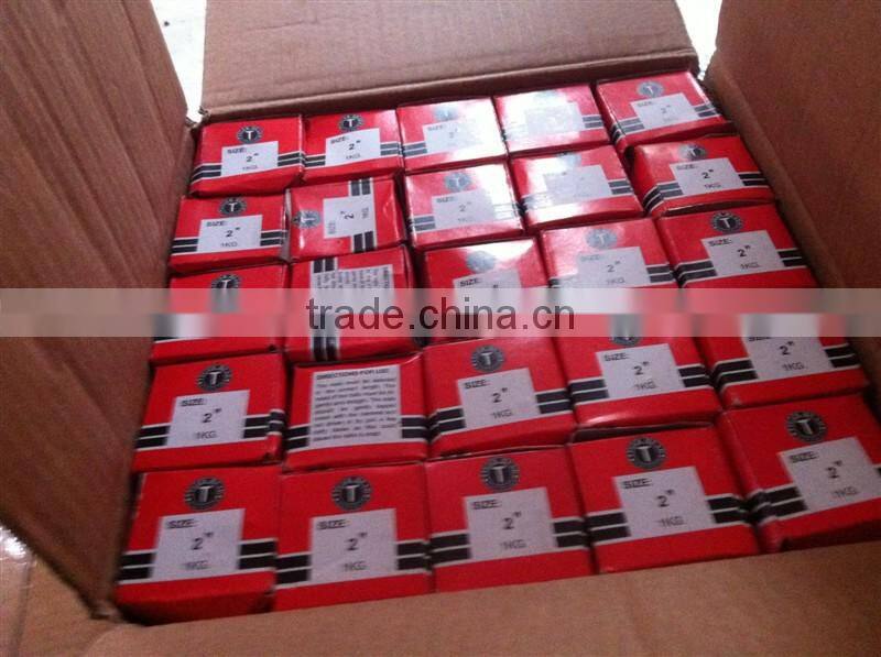 EG fluted concrete nails