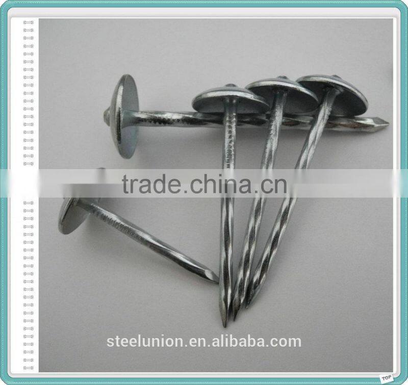 Electro Galvanized Roofing Nails/Umbrella Nails Factory
