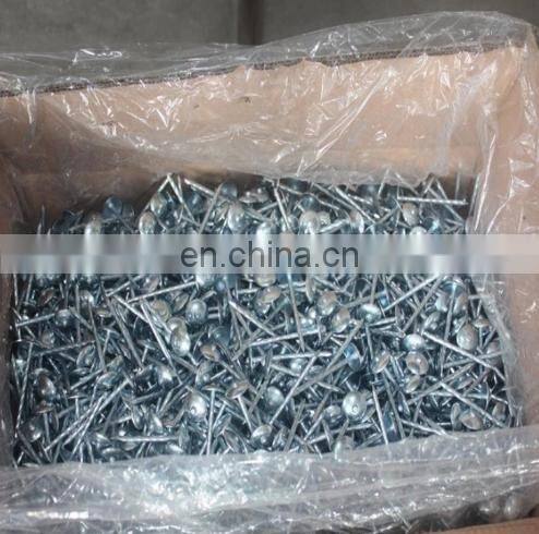 Hot sale galvanized umbrella roofing nails with rubber washer in Peru from XINHAI nail manufacturer