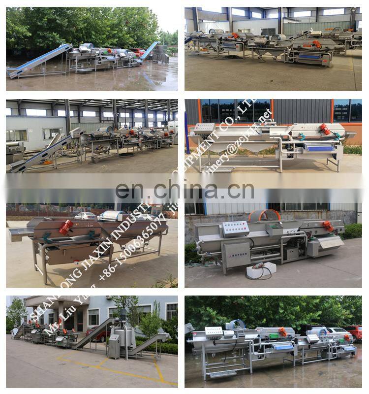 Factory  directly supply leaf vegetable washing machine industrial