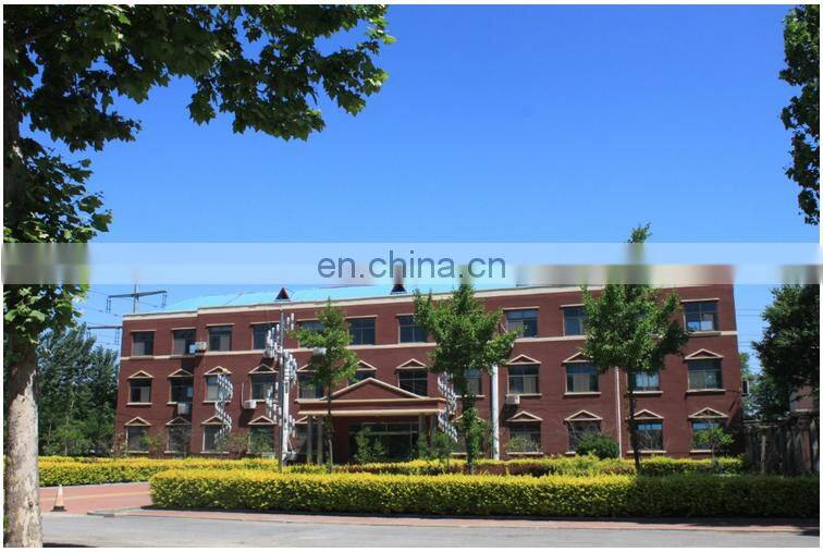 gym equipment fitness equipment exercise back extension machine