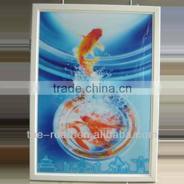 ceiling hanging poster frames