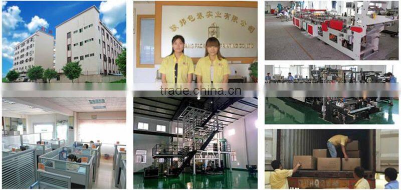 Plastic Zip Lock Packaging bag Plastic Bag for Fish Food