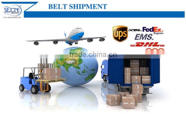 3.0mm blue/grey flat transmission nylon belt