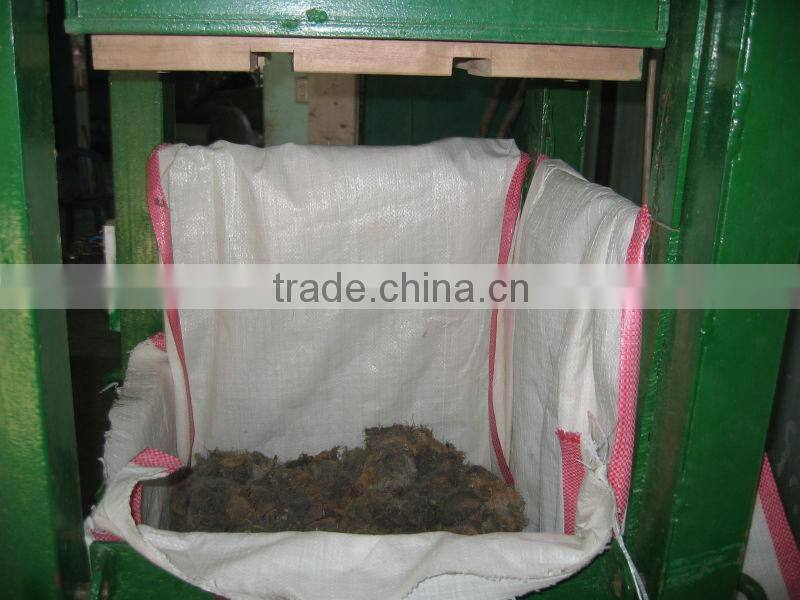 Gracilaria (seaweed)