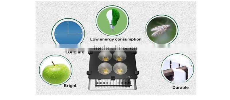 favourable price 250 w high powerCE ROHS approved IP 67 led flood light