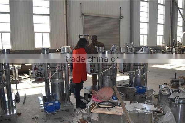 Reliable manufacturer moringa oil expeller machine