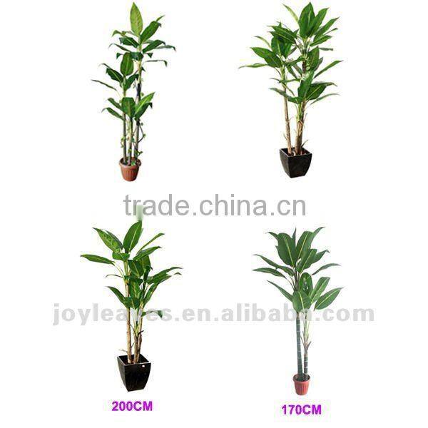 artificial banana tree,paradise bird banana tree,new banana tree in 2012