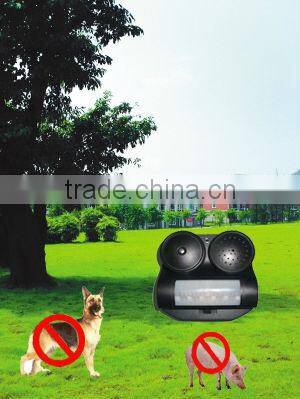 Sonic Wild Animal Chaser GH-191