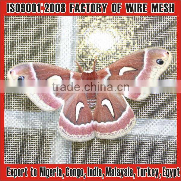 0.18mmX22X22meshx3'x100' galvanized iron wire netting