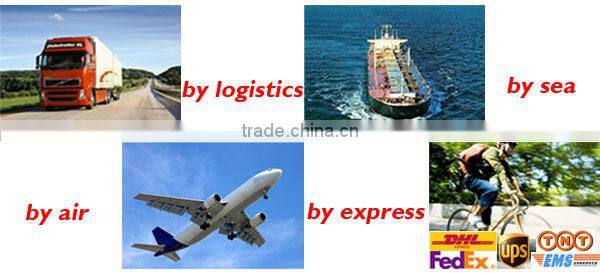 Hot sale Emaux salt water 15g/h chlorination system / swimming pool salt chlorinator