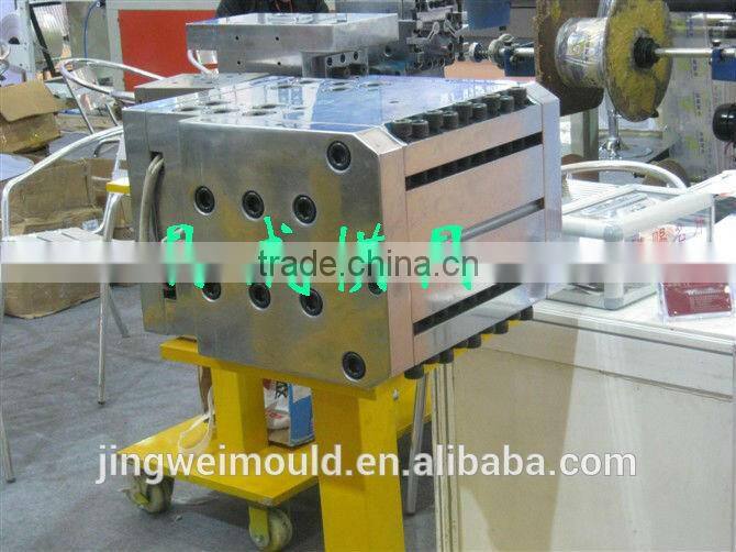 High quality Polyside & stripe die/mold extrusion die/mold