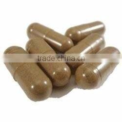 The No.1 Quality Extra Power Mucuna Capsules For Export