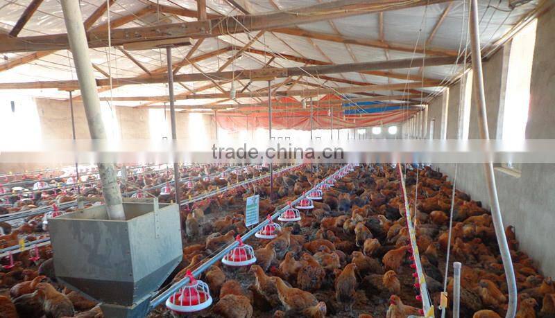 2015 New style feeding pan feeding system for layer chickens in poultry farm