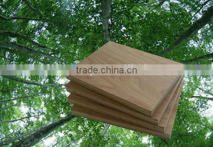 Jinxing waterproof plywood sizes from real manufacture