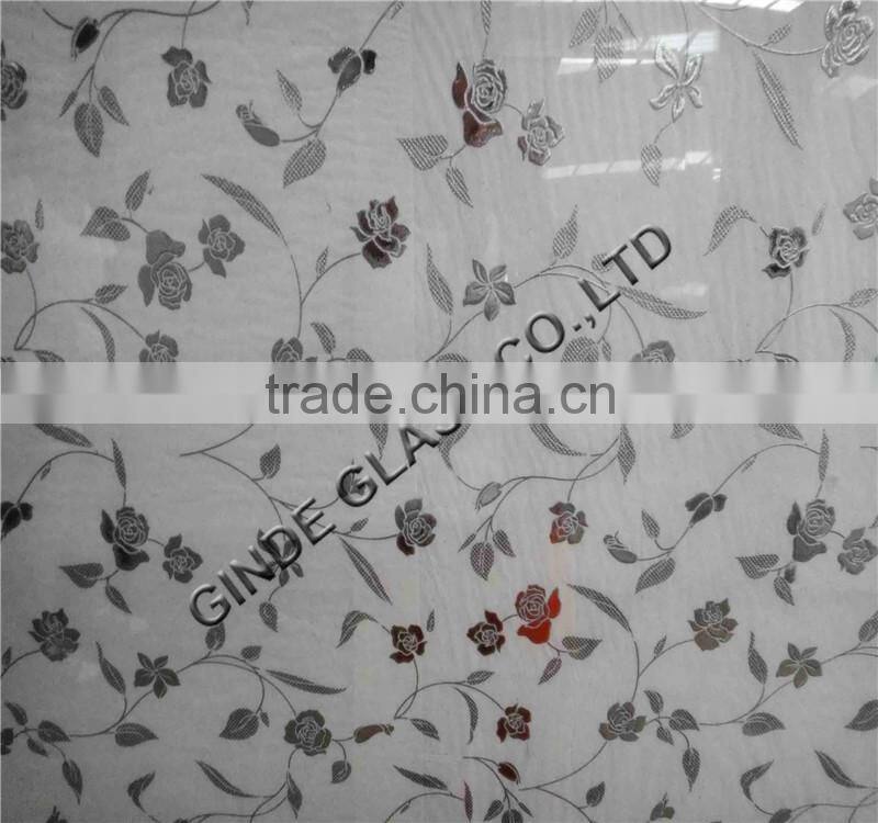 deep acid etched glass, acid etched home design frosted glass,acid for glass etching