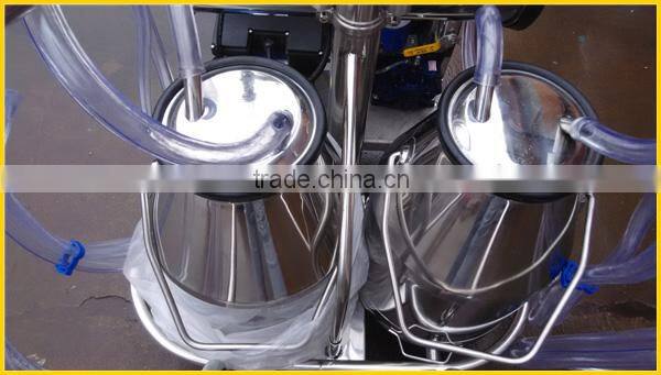 two buckets vacuum pump milking machine