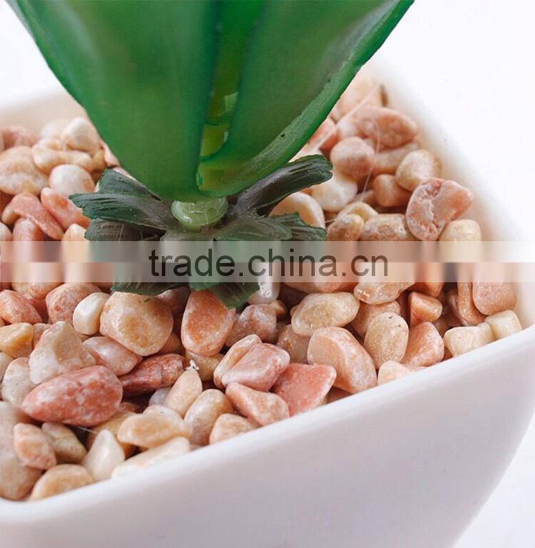 fake plant succulent plants with plot