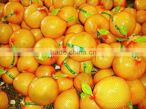 Grade A Shatian pomelo