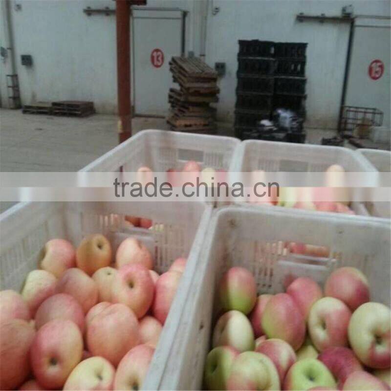 2014 New Chinese Fresh Red Fuji Apple