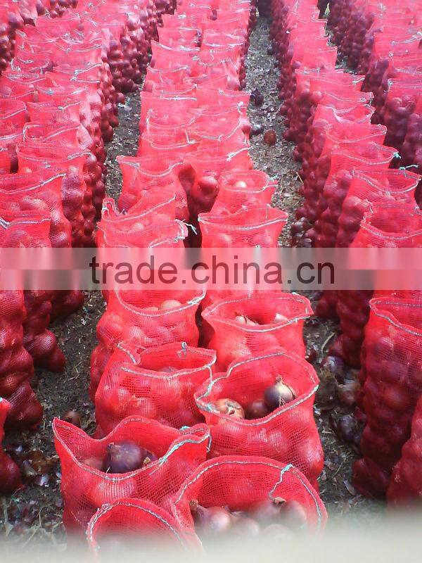 onion ( Red - Yellow - White - spring onion )