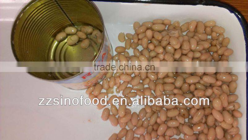 Supply Canned White Kidney Beans in Brine High Quality