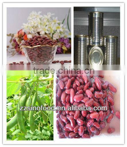 400g*24 Canned Red Kidney Beans in brine