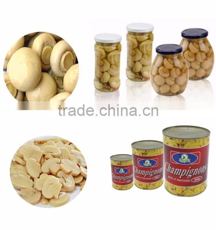 China food Canned Champignon Mushroom