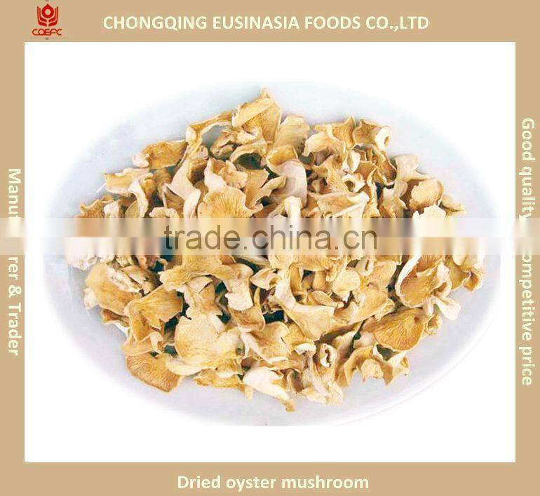 Dried oyster mushroom/pleurotus ostreatus with competitive price