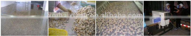 Frozen boiled clam meat supplier