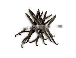 Vanilla Beans