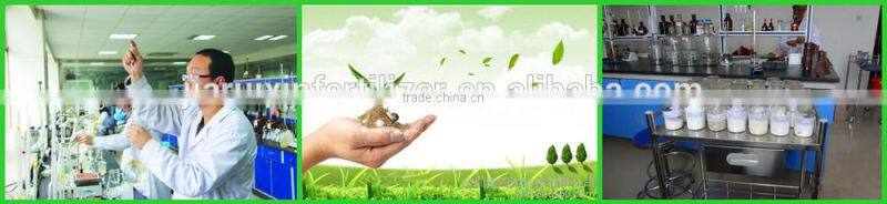 NPK water soluble fertilizer