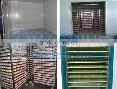 Energy saving high Temperture Apple Drying Machine