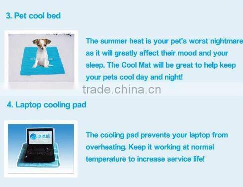 newest and eco-friendly ice pad , ice cushion for computer for pet